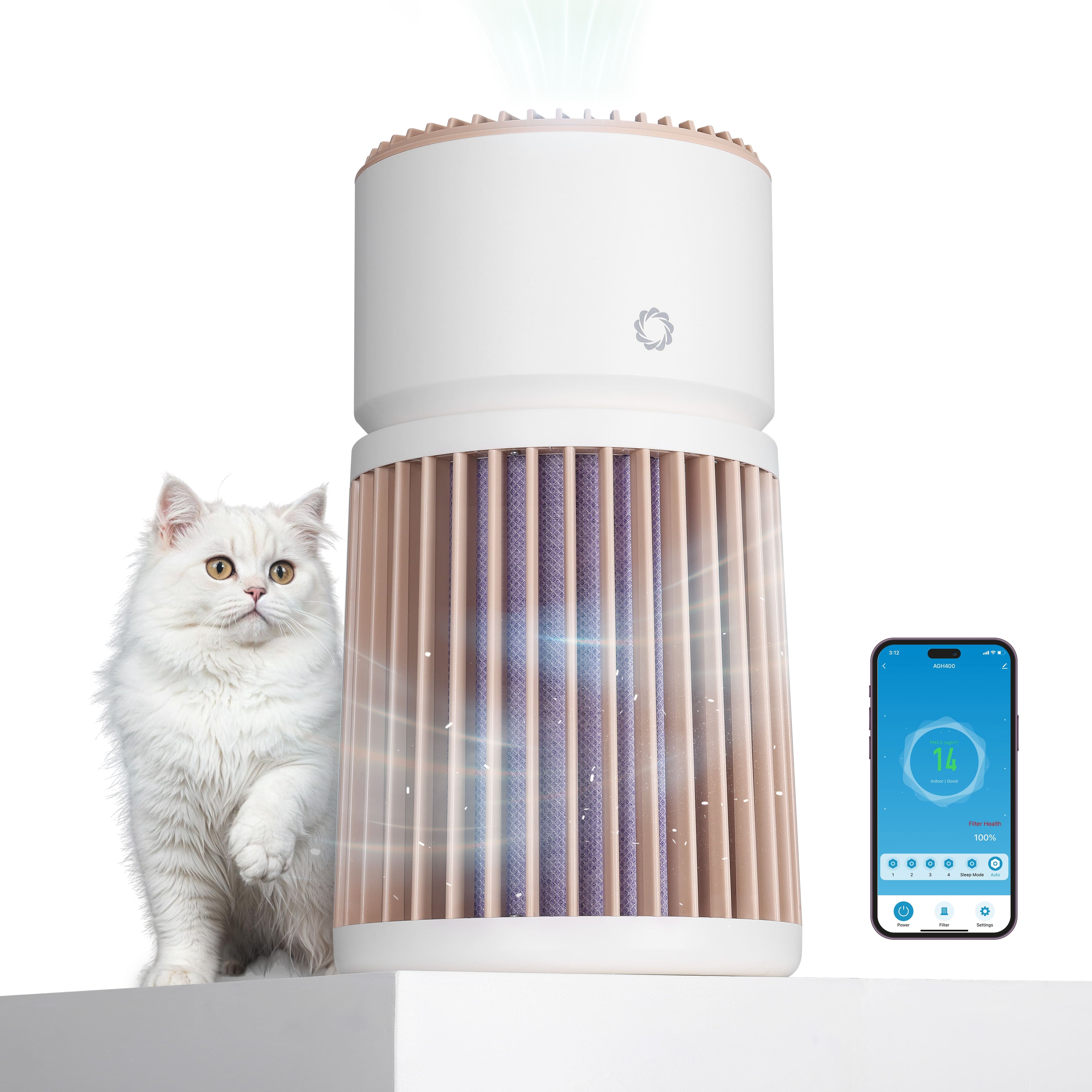 For Pet Lovers